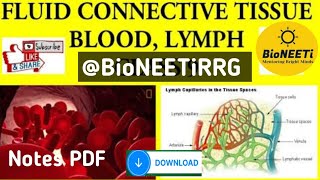 Fluid Connective Tissue Blood And Lymph Structural Organisation In Animals NEET NCERT [upl. by Kenny]