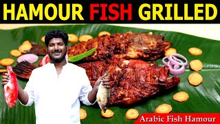 HAMOUR FISH GRILLED  Hamor Fish Recipe Malayalam  ARABIC HAMOUR FISH GRILLED  Grilled Fish Recipe [upl. by Sloan550]