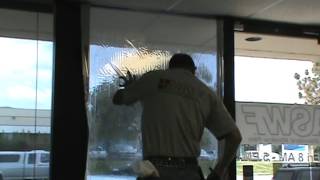 Commercial Window Film Installation [upl. by Ecar]