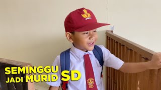 SETELAH SEMINGGU SEKOLAH ⁉️ [upl. by Anyel]