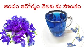 Blue Tea Recipe In Telugu  Herbal Tea  Butterfly Pea Tea Weight Loss [upl. by Kirkwood797]