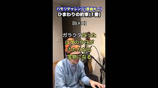 【🎤ひまわりの約束 秦基博 】ハモリチャレンジ・ロング〜長くつられずに歌える？〜！ [upl. by Brynna]