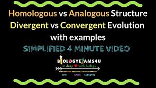 Homologous vs Analogous Structure Divergent vs Convergent Evolution with examples [upl. by Muslim831]