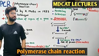 Polymerase chain reaction  PCR  NMDCAT 2021 [upl. by Ydna]