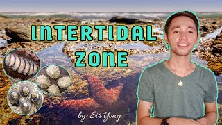 INTERTIDAL ZONE  by Sir Yong [upl. by Aihsatal]