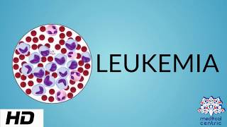 LEUKEMIA Causes Signs and Symptoms Diagnosis and Treatment [upl. by Atilem]