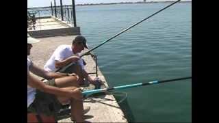 Pole fishing  Απίκο στο λιμάνι για κεφάλους [upl. by Nylissej417]