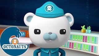 Octonauts  Une Étrange Créature Des Profondeurs Marines  Aventures Sous Les Mers [upl. by Vevina]