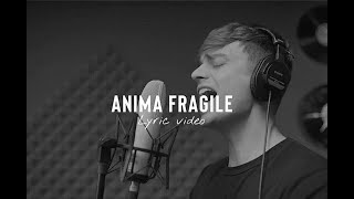 CIOFFI  ANIMA FRAGILE Lyric Video [upl. by Beitnes]