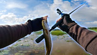 Survival Baitcasting fishing in Natural Pond  Amazing Fish attack baby frog [upl. by Mihar755]