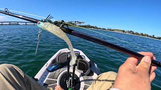 Kayak fishing  Mission Bay 3124 [upl. by Ailecra]