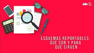 Esquemas reportables qué son y para qué sirven [upl. by Trebeh]