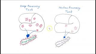 The hippocampus and study techniques [upl. by Retnuh]