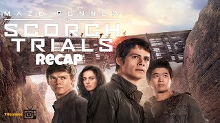 Scorch Trials Trailer [upl. by Lertsek857]