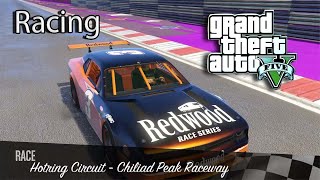 Gta 5 car raching raching bd bdgamer gaming md studio mdg gaminggame gta5 gta gameplay [upl. by Bilbe]