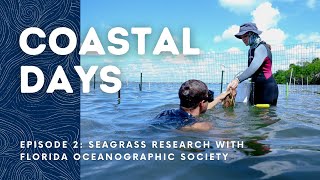 🌊 COASTAL DAYS Ep 2  Seagrass research with Florida Oceanographic Society [upl. by Gemina798]