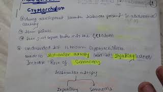 cryptorchidism and testicular atrophy  part 1 male genital pathology [upl. by Shena]