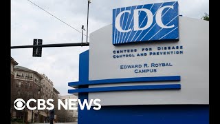 Doctor weighs in on CDC warning of drugresistant Shigella bacteria causing stomach illnesses [upl. by Amairam388]