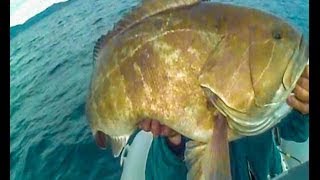 grouper ΣΦΥΡΙΔΑ ΣΥΡΤΗΝ6 18300kg sotos fishingwmv [upl. by Aihset]