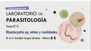 Tema N° 11 Blastocystis sp mitos y realidades [upl. by Tod]