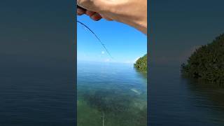 Think Twice Before Hooking A 100 Pound Stingray On Light Tackle [upl. by Ragas]