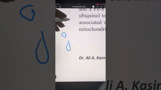 The Respiratory Chain الجزء الاول [upl. by Mosnar854]