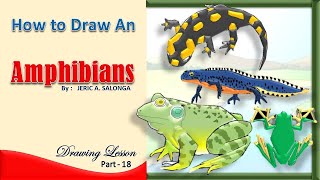 How to Draw an Amphibians  Drawing Lesson [upl. by Caro595]