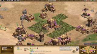 Aoe2 Civilization MatchUp Analysis Ethiopians vs Indians [upl. by Anirod]