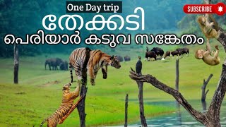 തേക്കടിയിലെ മനോഹരകാഴ്ചകൾ PERIYAR TIGER RESERVE THEKKADY travel guide Thekkady Boat experience [upl. by Nirat884]