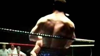 Lenny Mclean vs Roy Shaw fight 3 [upl. by Dorice]