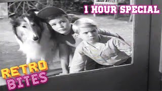 Lassie  1 Hour Special  Lassie English Full Episodes 🐕 [upl. by Cynar]