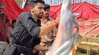 mukammal Bakra banane ka tarika meat catting skills  goat skin remove skill  ADIL qasai 🐐 [upl. by Letsyrc]