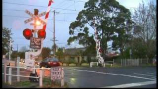 The 50 most dangerous level crossings [upl. by Rodrick533]