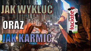 Jak wykluć i jak karmić małą wyverne [upl. by Samala]