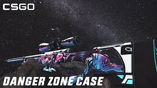 CSGO  DANGER ZONE CASE All Skins Showcase [upl. by Atillertse188]