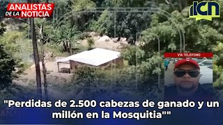 quotSe perdieron 2500 cabezas de ganado y en la Mosquitia un millón de cabezas de ganado en pérdidasquot [upl. by Scotney]