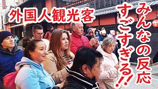 【リアルな海外の反応】外国人観光客の感激がすごすぎる！舞妓さんに会えて素晴らしい日本の旅が完結！ [upl. by Mcarthur]