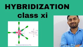 hybridization chemistry class 11 [upl. by Notrab]