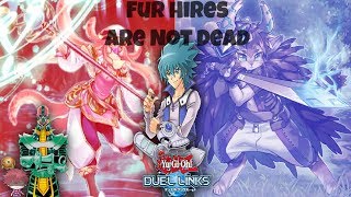 FUR HIRES ARE NOT DEAD  Post Nerf Fur Hires  YuGiOh Duel Links [upl. by Aimahs]