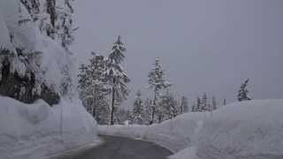 Mt Baker Road Gap Faceplant [upl. by Tynan375]