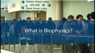 What is Biophysics [upl. by Petunia]