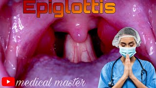 Functions of Epiglottis [upl. by Aicittel]