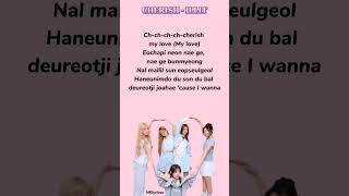 Cherish illit lyrics kpop dance music cover illit cherish lyrics lyricvideo youtubeshorts [upl. by Tannenwald991]