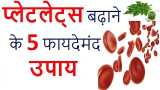 प्लेटलेट्स बढ़ाने के 5 फायदेमंद उपाय  Food To Increase Platelets [upl. by Nohcim629]