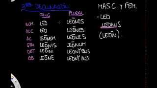 Tercera declinación parte I [upl. by Sivolc]