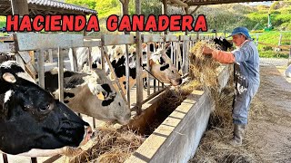 Impresionante HACIENDA GANADERA productora de LECHE 🥛🐄 Josué y Elie [upl. by Oivalf507]