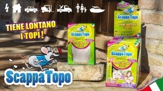 Scappatopo [upl. by Arni]