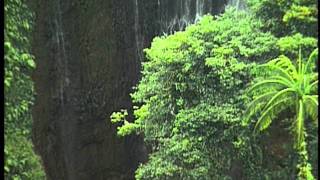 Samoan Jungle and Waterfalls [upl. by Annaeed145]