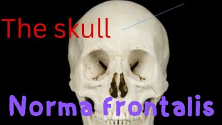 Anatomy of the skullNorma Frontalis  with easy method  Anatomy with dr faiza [upl. by Zed17]