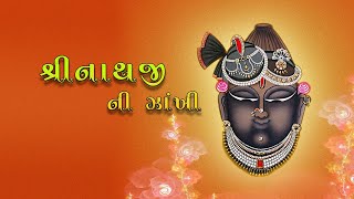 Shrinathji Ni Zakhi  Shrinathji Na Bhajan  Non Stop Bhajan [upl. by Annoyik605]